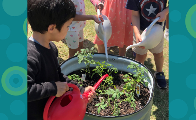 Planting Seeds for a Healthier Future: School Gardens Offer Nutritious, Hands-On Learning for Children